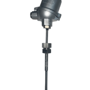 RTG Pt-100 Transmitter with display Type 2.182 petrogas range 0 to 500°C